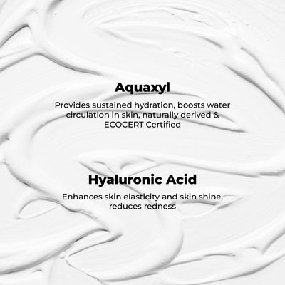 Seasoul Hydraing Face Moisturiser With Dead Sea Minerals,Aquaxyl & Hyaluronic Acid
