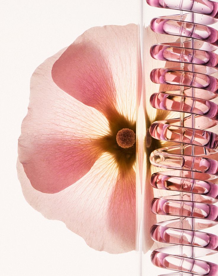 ROSEHIP OIL