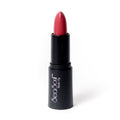 Seasoul Matte Lipstick ML08
